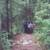 Our group (minus me because I was taking practically all the pictures) at the end of the Ester Portage.  This portage was really covered with mosquitoes.   
