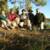 The group.........From left to right...........Chris, Dave, Geo, Mark, Chms, and Dan.......What a FANTASTIC trip and a great group of friends.........I cannot wait until the next trip.