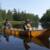 Natalie and I paddling on Link Lake.