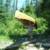 Dave portaging the canoe at the end of Monument Portage.  On this trip, we rented 1 Minnesota II, and Two Boundary Waters 18's.  The Boundary Waters paddled like tubs but FISHED GREAT.  The Minnesota II is FAST, but probably the poorest fishing platform I've ever used up there.  